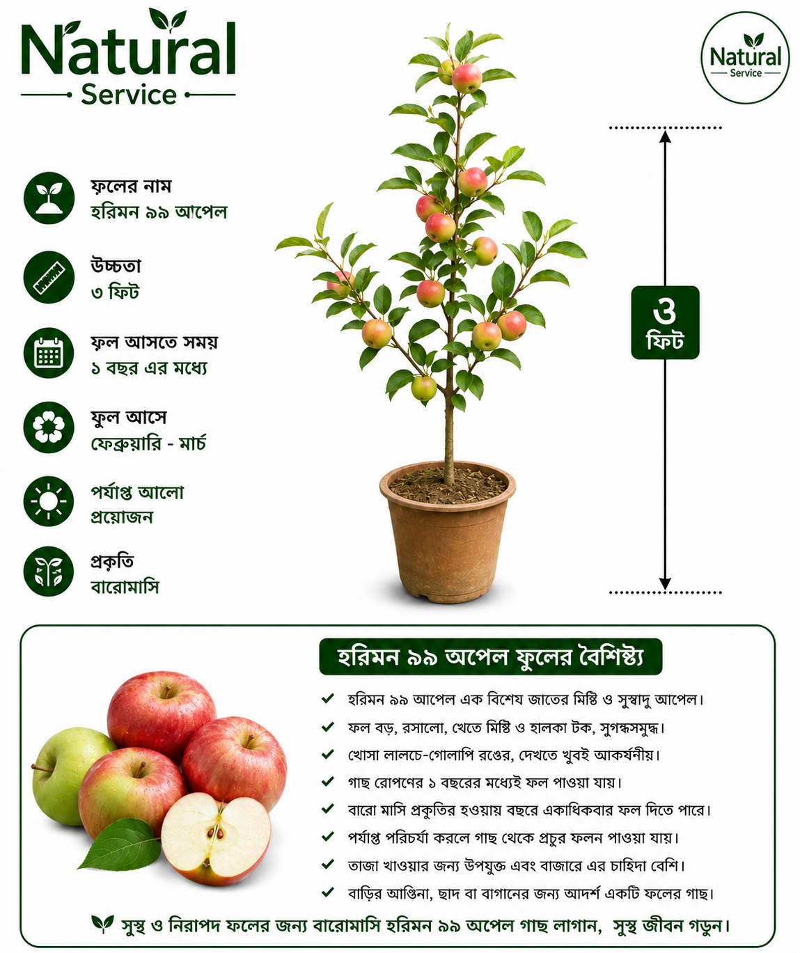 file_00000000969c8207b4886c4b18c6dae5 হরিমন ৯৯ অপেল - Image 1