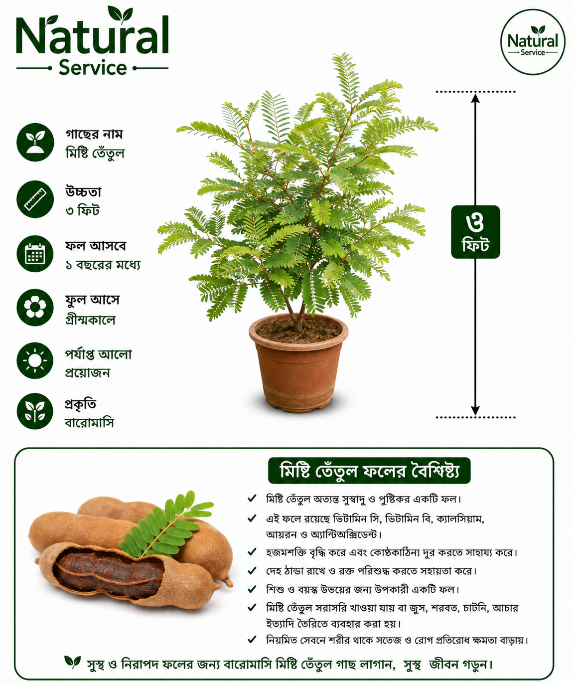 file_00000000a12c8207ab226895bb3eb69f মিষ্টি তেঁতুল - Image 1