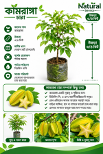 কামরাঙ্গা